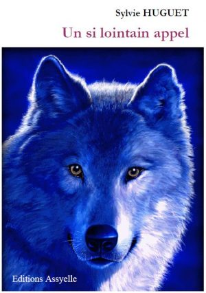 Un si lointain appel - Sylvie HUGUET