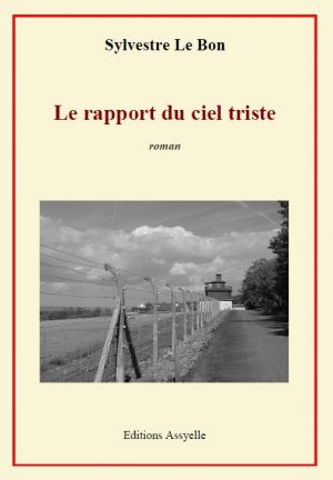 Le rapport du ciel triste - Sylvestre LE BON
