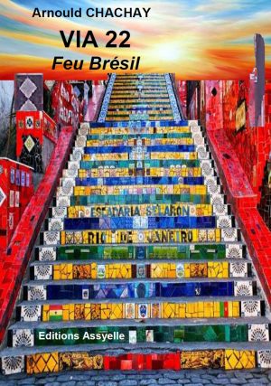 Via 22, Feu Brésil - Arnould CHACHAY