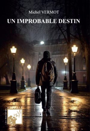 Un impropable destin - Michel VERMOT